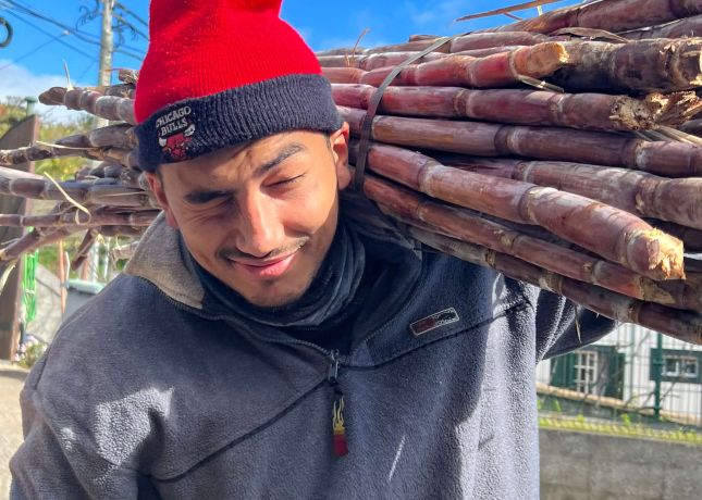 Madeira Sugar Cane Rum Tasting Experience